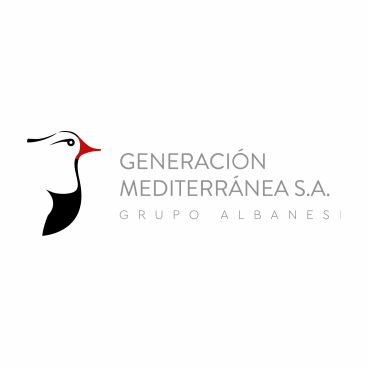 Generacion mediterranea